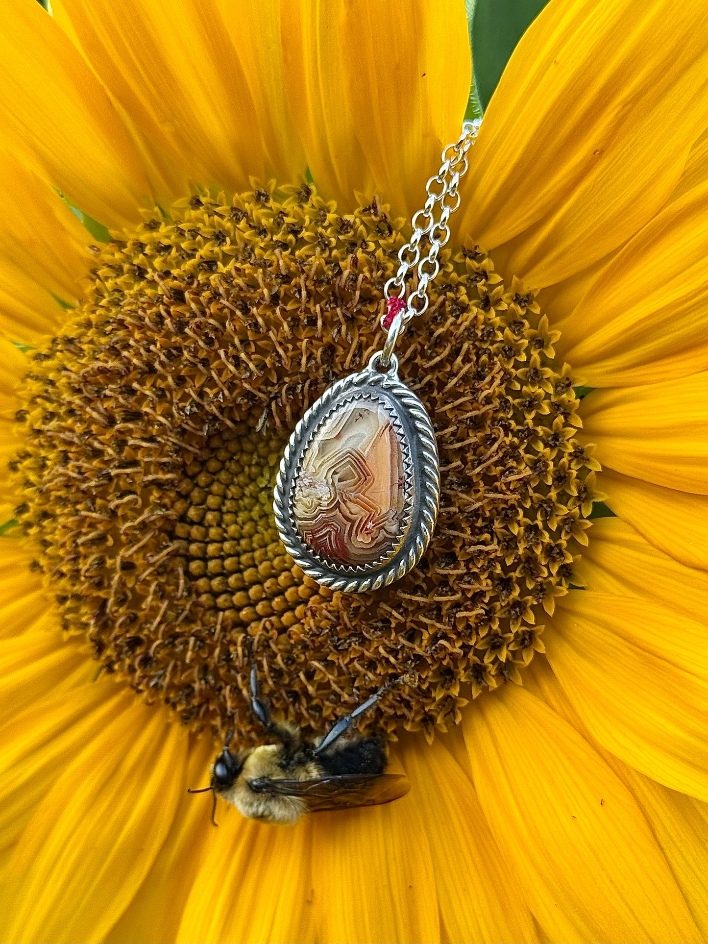 Red Crazy Lace Agate